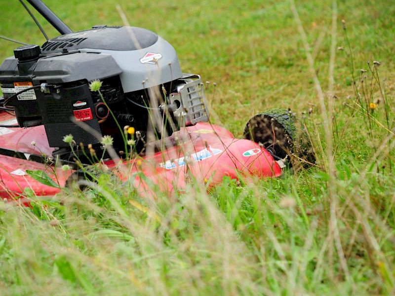 Bild maria-anne-lawn-mower-3511994.800x600.jpg
